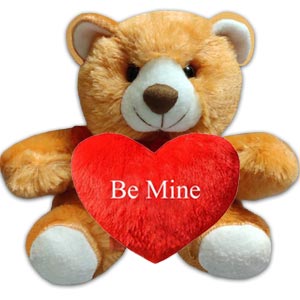Soft brown Teddy bear with red heart & the text 