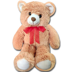 (17) Teddy Bear Medium 