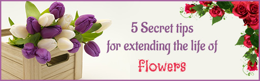 5 Secrets Tips For Extending the Life of Flowers.