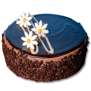 (05) Cooper's - Half kg Chocolate Fudge Round Cake