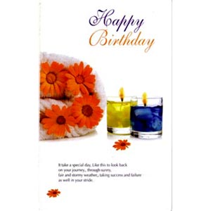 (11) Birthday Card 2 Folder
