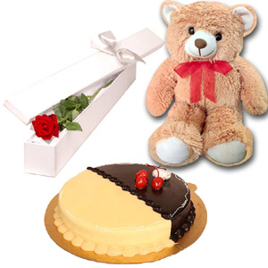 (50) Bear, Cake & Red Rose