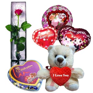 Bear W/ Rose, Chocolate & Balloons
