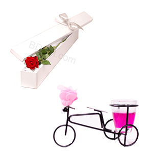  Rose W/ Cycle Candle