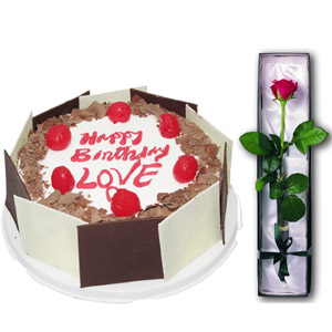 King's Black Forest Cake W/1 piece Rose