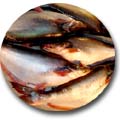Fish - Pangus Fish 1 KG   