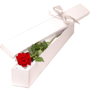 (27)1 piece red rose in a box 