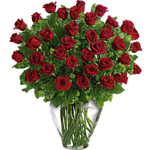 (35) 36 pieces red roses in a vase