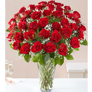 (24) 40 pieces red roses in a vase