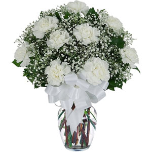 (26) 12 pcs White Carnations in Vase