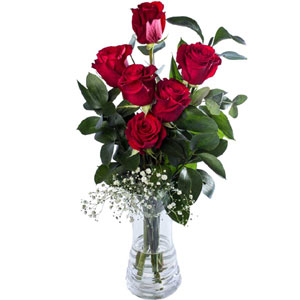 (29)6 Pcs Roses in a vase