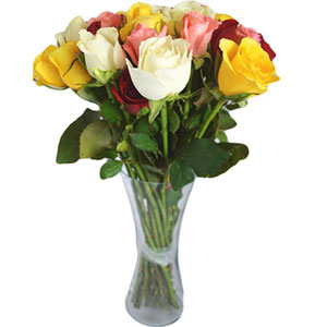 (12) Multicolor roses in a vase