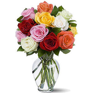 (14) Multicolor roses in a vase
