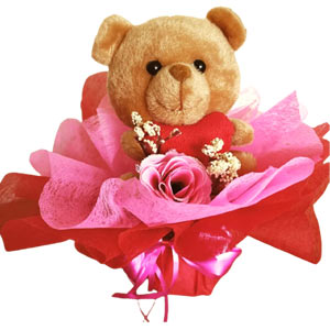  Teddy W/ Pink Rose bouquet