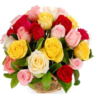 (13) Multicolor Rose Basket