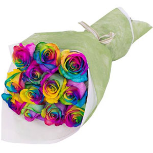 (21) 12pcs Rainbow Rose in a bouquet