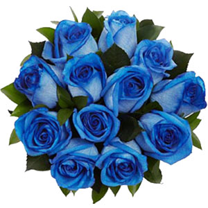 (06) 12 pcs Blue Roses in a bouquet. 