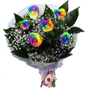 (24) 6pcs Rainbow Roses in a bouquet