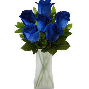(03) 6 pcs Blue Roses in a vase. 