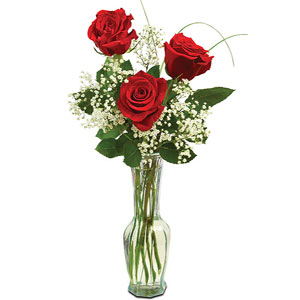 (003) 3 Pcs Red Roses in vase