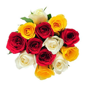 12 pcs Multicolor roses in bouquet