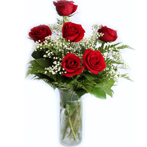 (06) 6pcs red roses in a glass vase 
