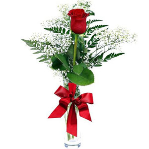 (0001) 1 Piece Red Rose in vase