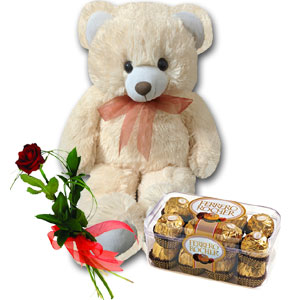 Teddy Bear W/ Ferrero Rocher Chocolate & red rose