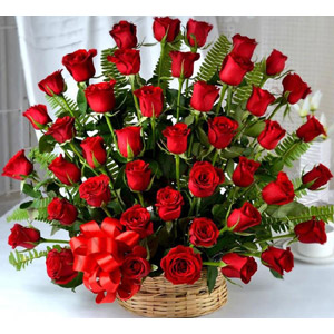 48 pieces red roses in a basket