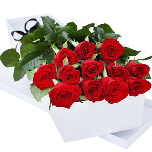 (006) 12 pcs Roses in a box