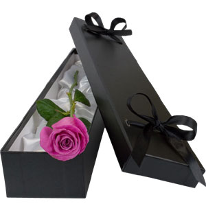 (002) Imported single Pink Rose in a box