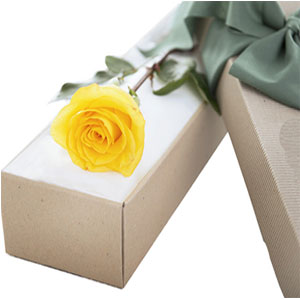 (003) Imported single Yellow Rose in a box