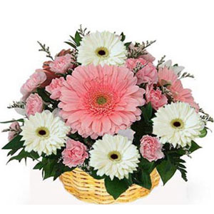 (02) Gerbera & Carnations in a Basket