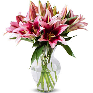 (62) Lilies in a vase 