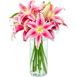 (31)Pink Lilies in a vase 
