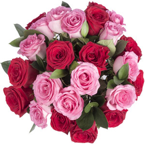 (33)2 dozen red & light pink roses mix
