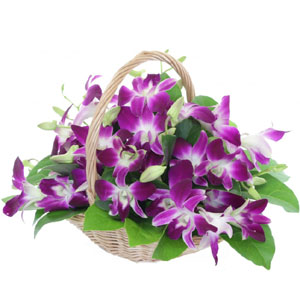 (45) Orchids in a Basket