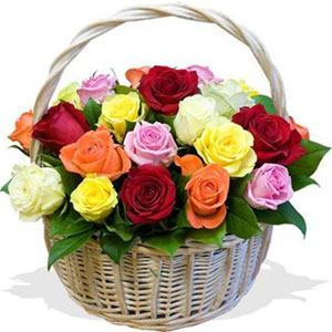 (25) 3 dozen mixed roses in a basket
