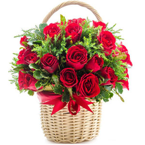 24 Red Roses with green Fillers in Basket
