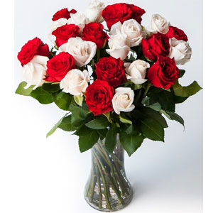 (006) 2 dozen red & off white roses mix in Vase