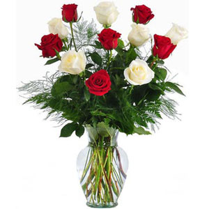 (18) 1 dozen red & off white roses in a glass vase.