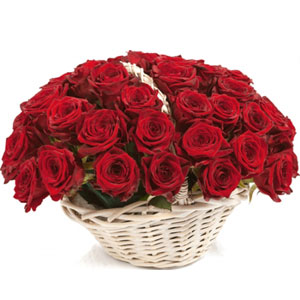 (03) 3 dozen red roses in a basket