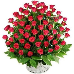 (32) 5 dozen red roses in a basket