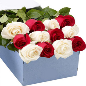 (008) 1 dozen off white & red roses mix in a box
