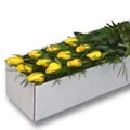 Yellow Roses box