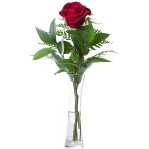 (0002) 1 Piece Red Rose in vase