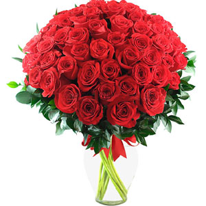 (41)60 pieces red roses in a vase