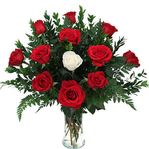 (007) Red Rose W/ one off white Rose in Vase
