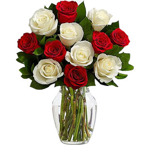 (27) 12 red & off white roses mix in Vase