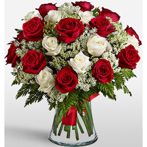 (33) 2 dozen red & off white roses mix in Vase